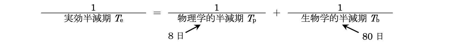 解説画像